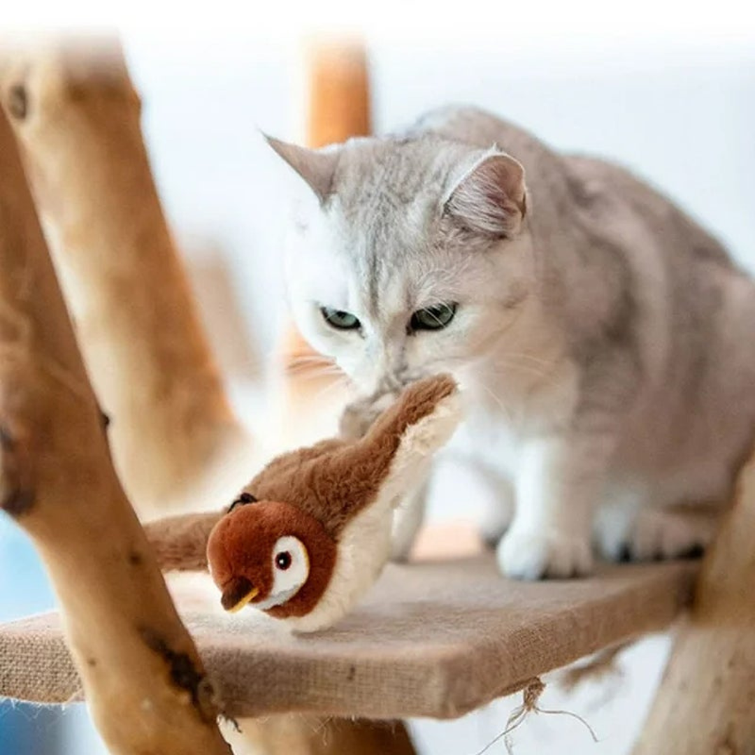 ActiBird® - Interactive Activity Toy for Healthy & Happy Cats